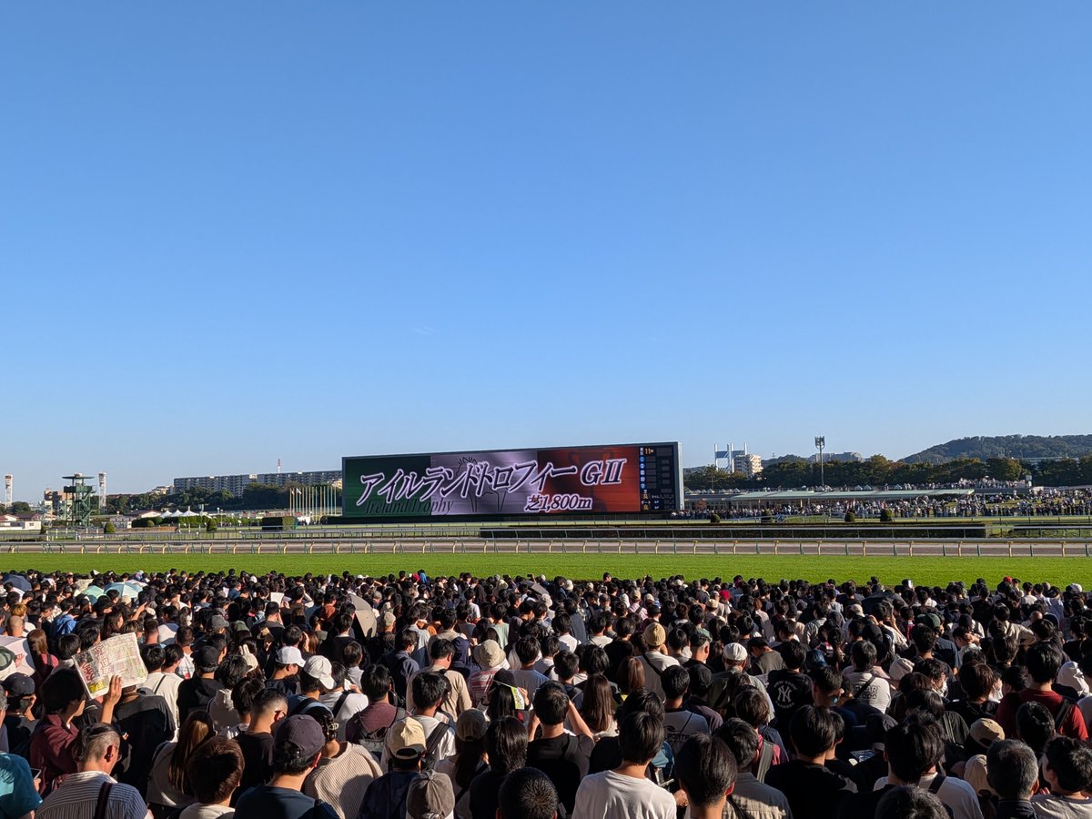sakabasakaba's tweet photo. 実況の山本さんによると、今日の東京競馬場は15時時点で、51,000人ほどとのこと😳
GⅡ���5万人とは競馬人気すごい！🏇

#東京競馬場 https://t.co/uJxDFJE9AY