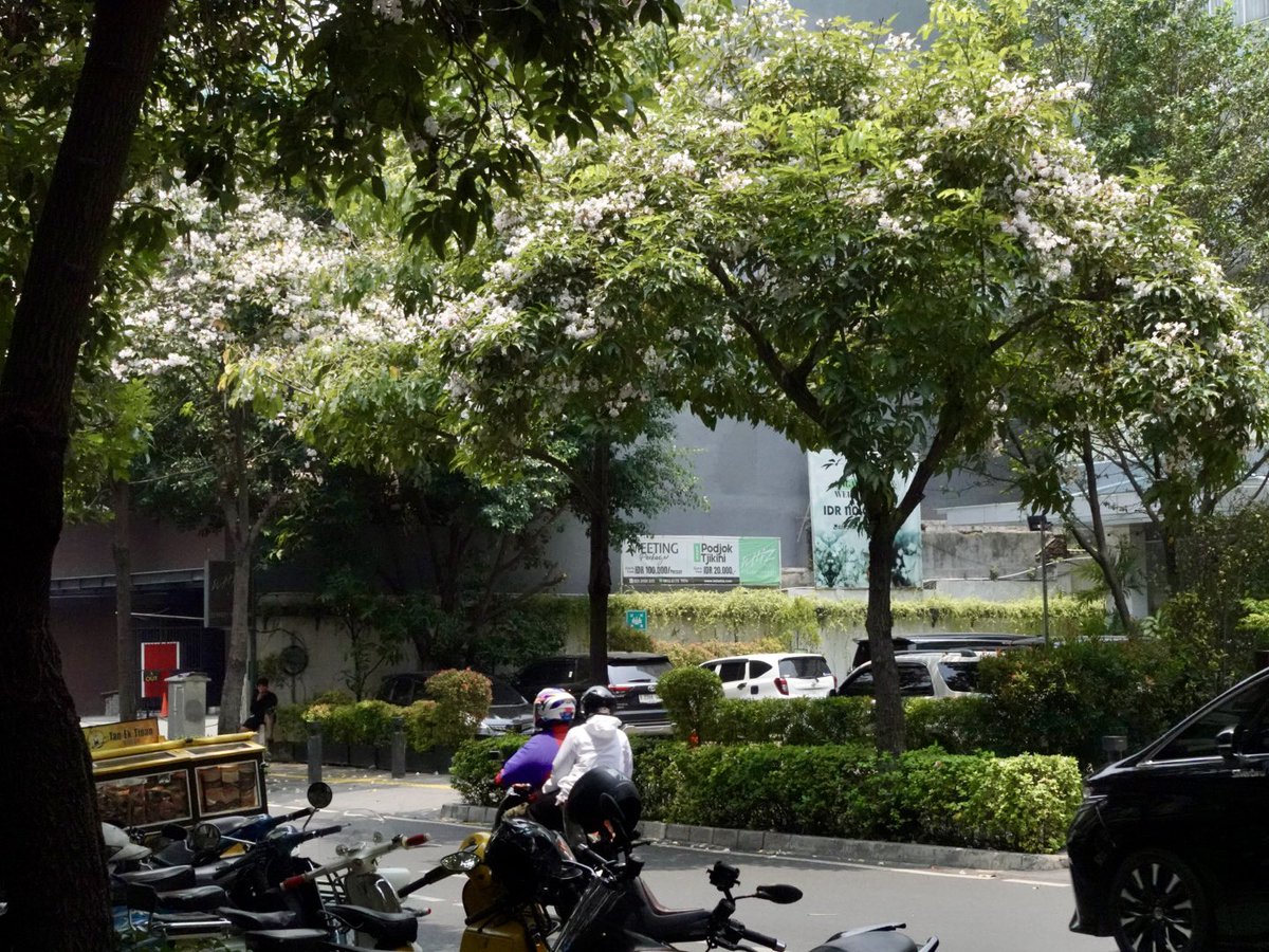 chn___xn's tweet photo. There’s a Hanoi in Cikini for those who have eyes to see.. https://t.co/ASfKhOtLSh