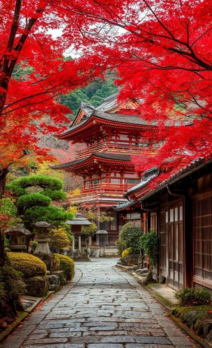 pictures033's tweet photo. Kyoto, Japan 🇯🇵 https://t.co/bd4pODc1zh