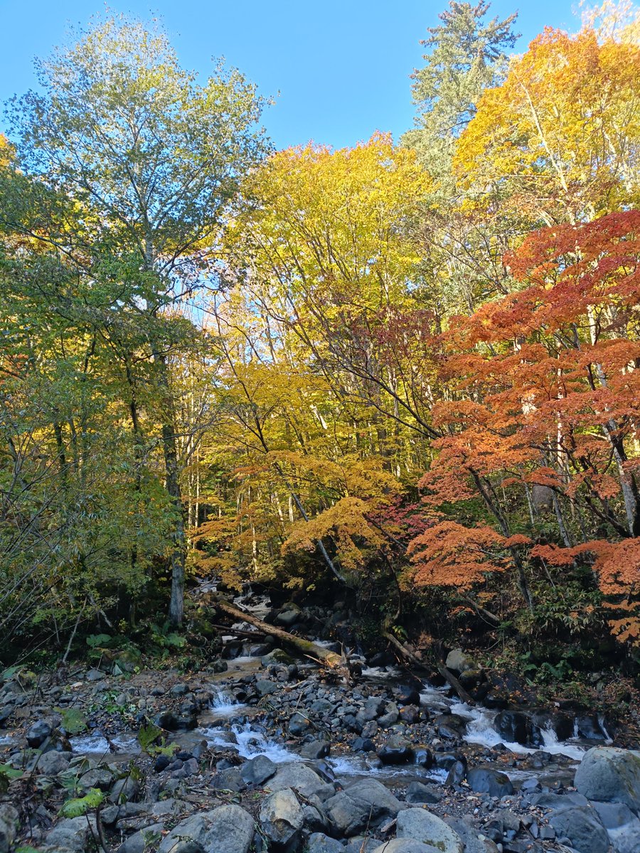 sbtyss's tweet photo. 今日は万計沼迄を登山してきた♪
抜群の登山日和😃
紅葉も綺麗だった。 https://t.co/4JrdpIdXqh