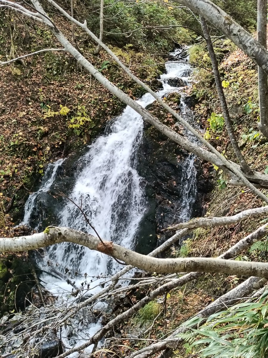 sbtyss's tweet photo. 今日は万計沼迄を登山してきた♪
抜群の登山日和😃
紅葉も綺麗だった。 https://t.co/4JrdpIdXqh