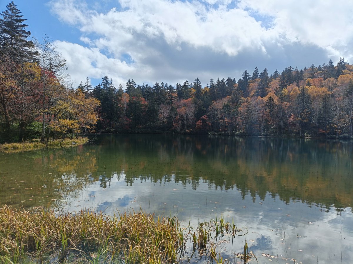 sbtyss's tweet photo. 今日は万計沼迄を登山してきた♪
抜群の登山日和😃
紅葉も綺麗だった。 https://t.co/4JrdpIdXqh