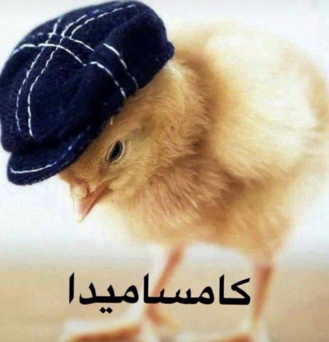 nffiiii's tweet photo. @lilreiii هذا العشم https://t.co/KX0hUjO9aT