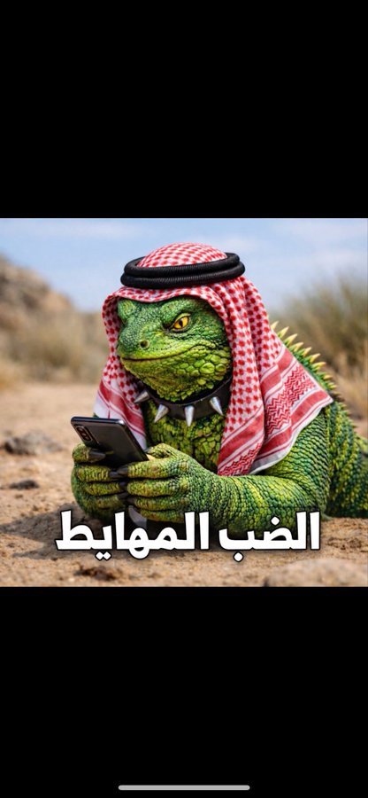 LShrqan's tweet photo. الضب المهايط موجوعين https://t.co/u9XK1uHtBw