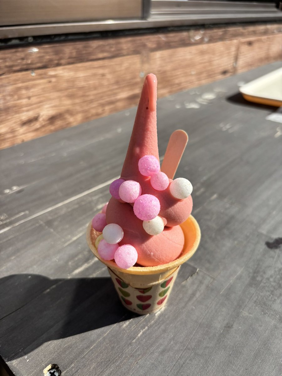 wt_makitowel's tweet photo. ほんこち！

2日連続でコキアと戯れてまいりました✨ https://t.co/ATtDL0szz6