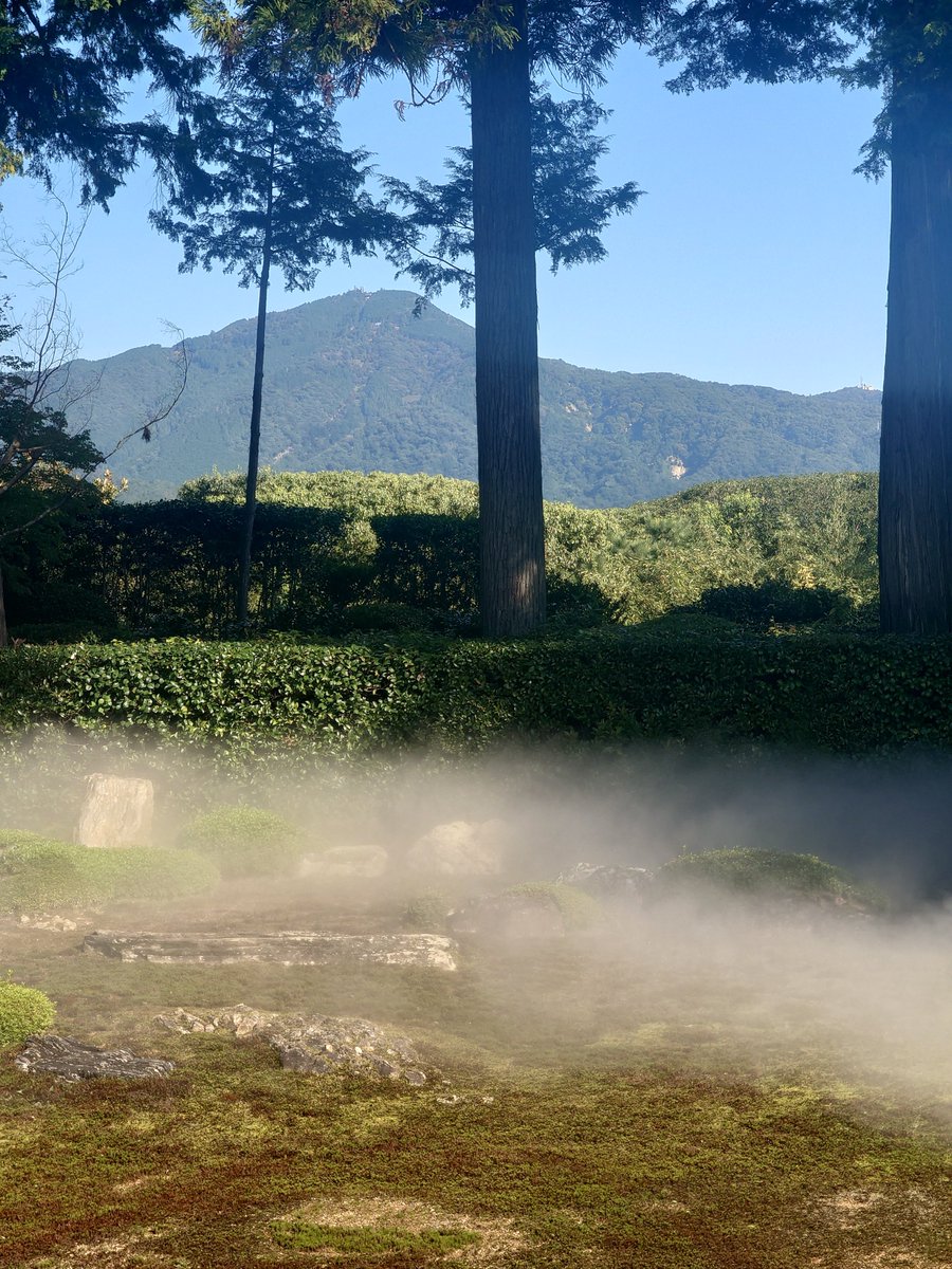 place_1341's tweet photo. 今日はいい天気でお寺巡りしてきたよーん！ https://t.co/DFijl28tz5