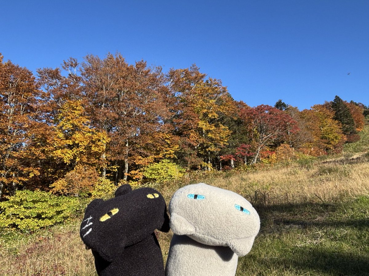 cookies_1978's tweet photo. 蔵王登ってきた⛰️
お釜〜！！ https://t.co/GAJR36GFJt