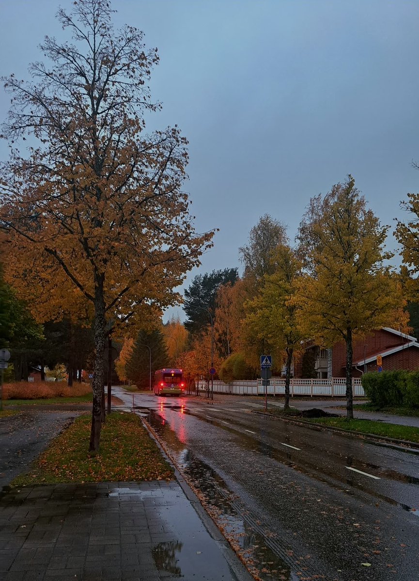 gloomyvisuaIs's tweet photo. gloomy fall evening. https://t.co/To3ZbwL5X5