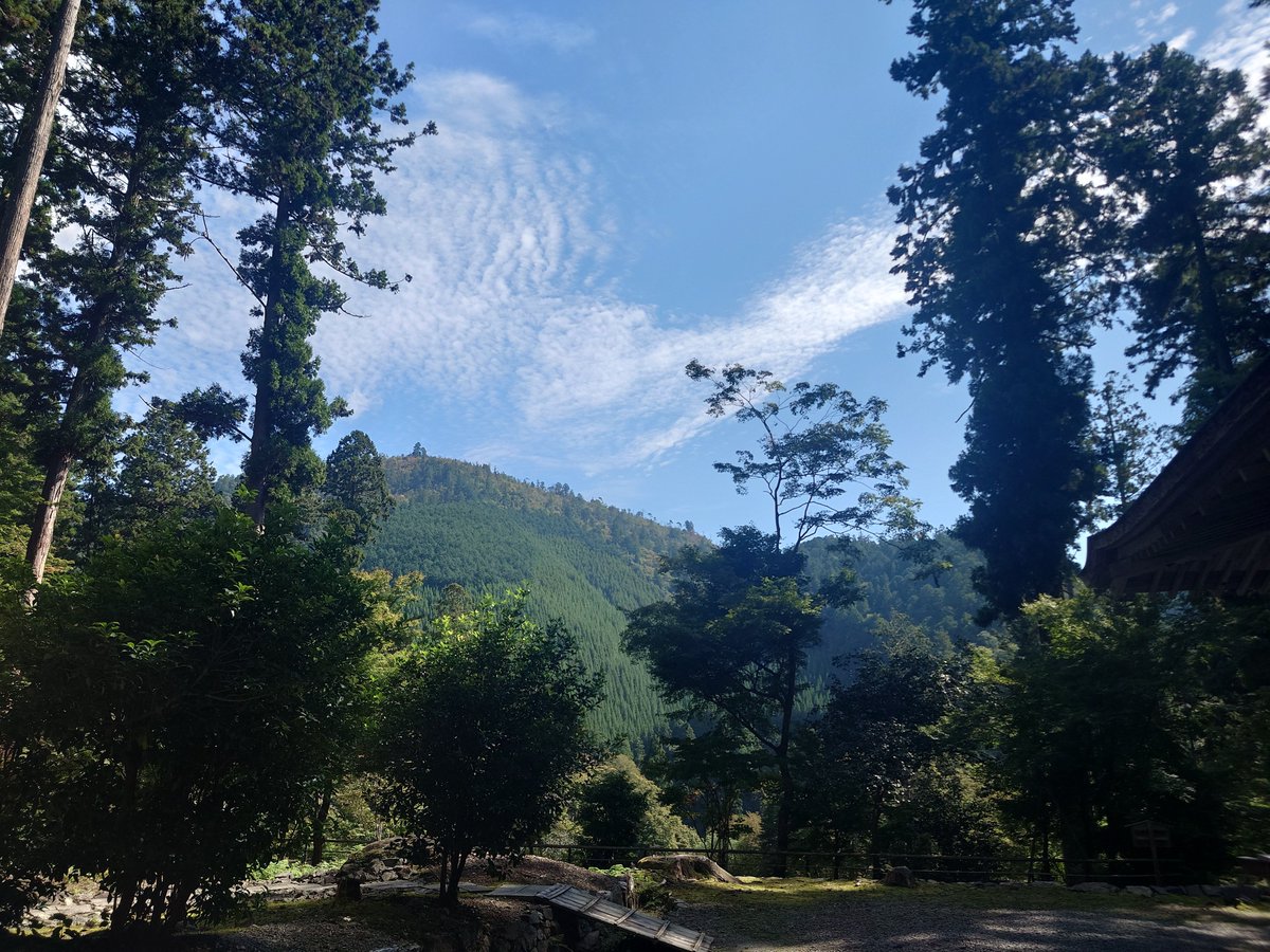 place_1341's tweet photo. 今日はいい天気でお寺巡りしてきたよーん！ https://t.co/DFijl28tz5