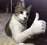 Jejsusjeje's tweet photo. Hoy voy a emigrar de myanimelist a anilist porque las interfaces y funcionalidades son la noche y el dia. https://t.co/xvjU1v5EWs
