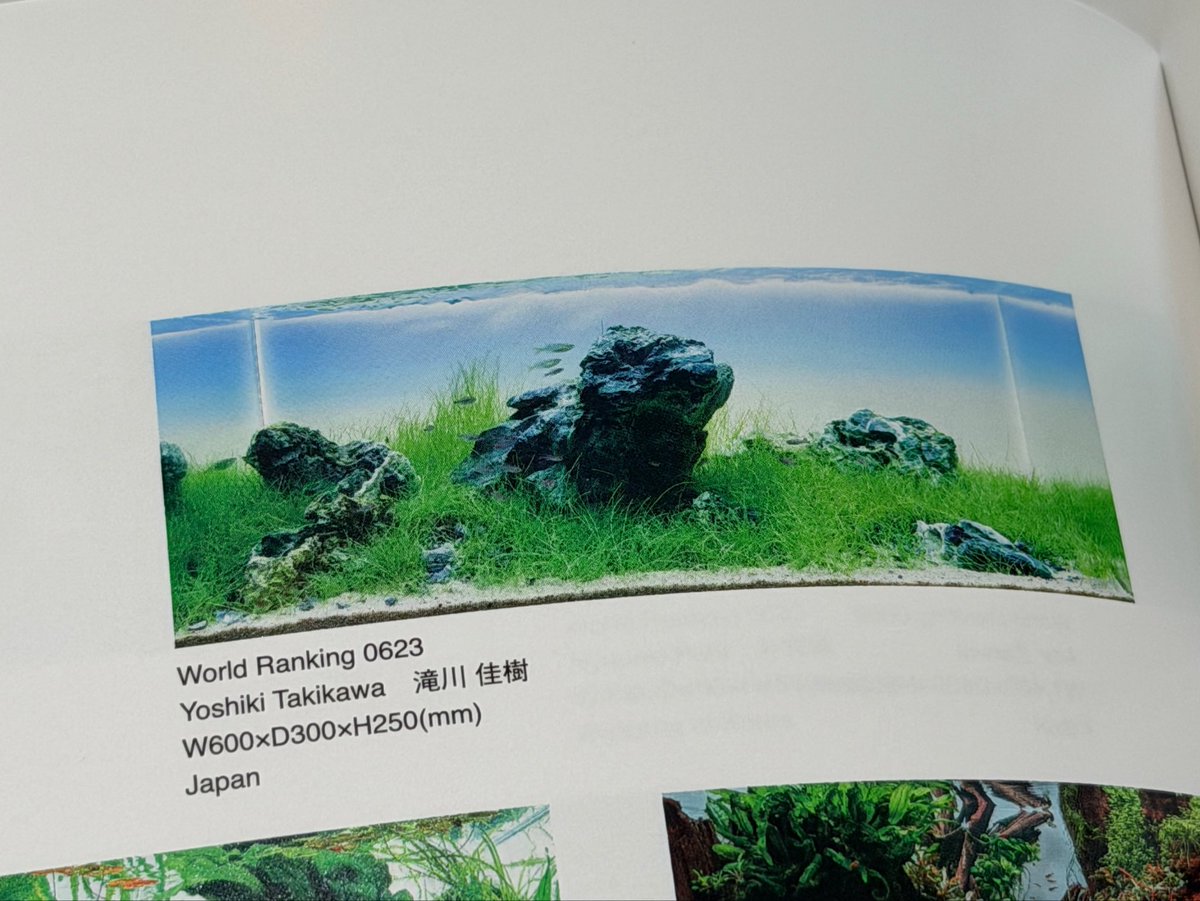 AquaShopTRiM's tweet photo. 300位目標と言いつつ623位…！

熱量の高い今リセットして始めるべきなのはわかっているけどなかなか

東北のレイアウターの方一緒にはじめませんか😂

#iaplc2026 https://t.co/ZGPgrib8NG