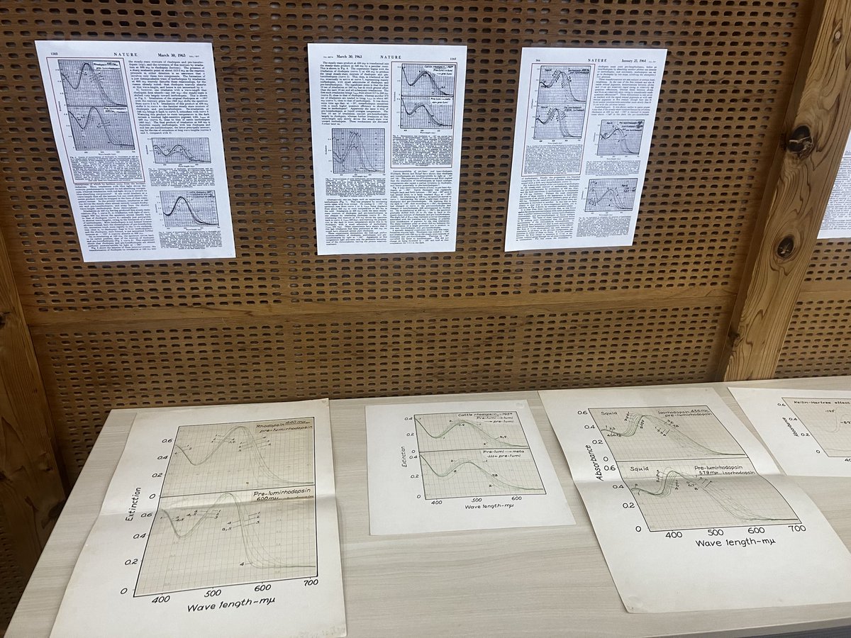 M_Yanagawa's tweet photo. 昨日は生物物理学教室反応研初代教授の吉澤透先生の百寿を記念して同窓会が開催されました。
　百歳になられて益々お元気で、Yoshizawa &amp; Wald 1963 などの生データを御自ら解説していただき、大変感銘を受けました。ロドプシン業界を牽引されてきた諸先輩方のご講演も拝聴し身の引き締まる思いです。 https://t.co/DvEzs2OSGv