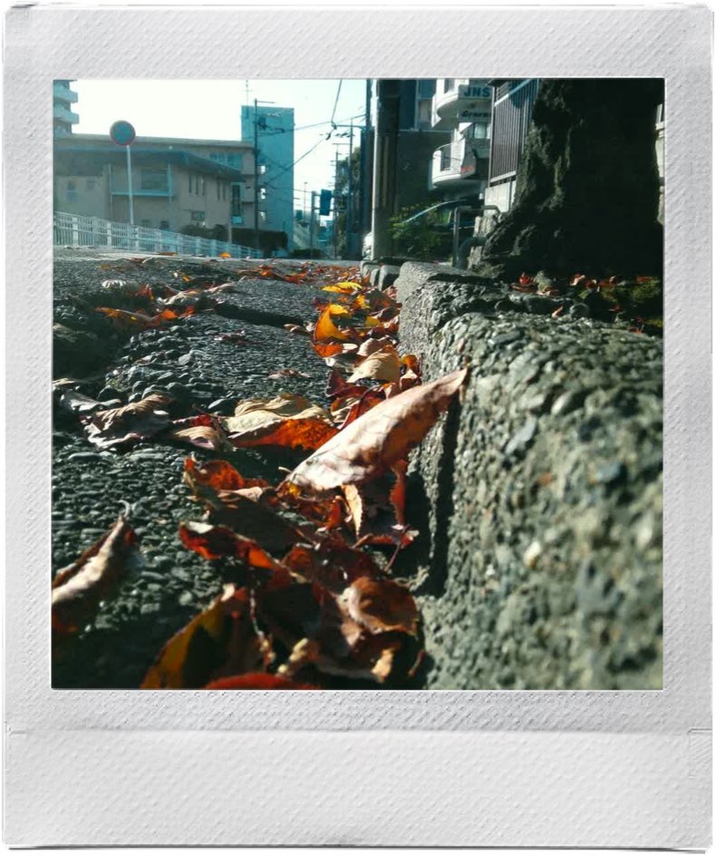 ____4da's tweet photo. 散歩がてらinstax Pal 2で試し撮り。

フィルターは「Film」を選択。

iPhone 13 miniにBluetoothで転送したのでサイズは1MP。

4枚目みたいに近距離ならあまり気にならないけど、距離があるとさすがに粗さが目立つので、転送はUSB-Cでした方が良さそう。 https://t.co/SrsBE7tfTY