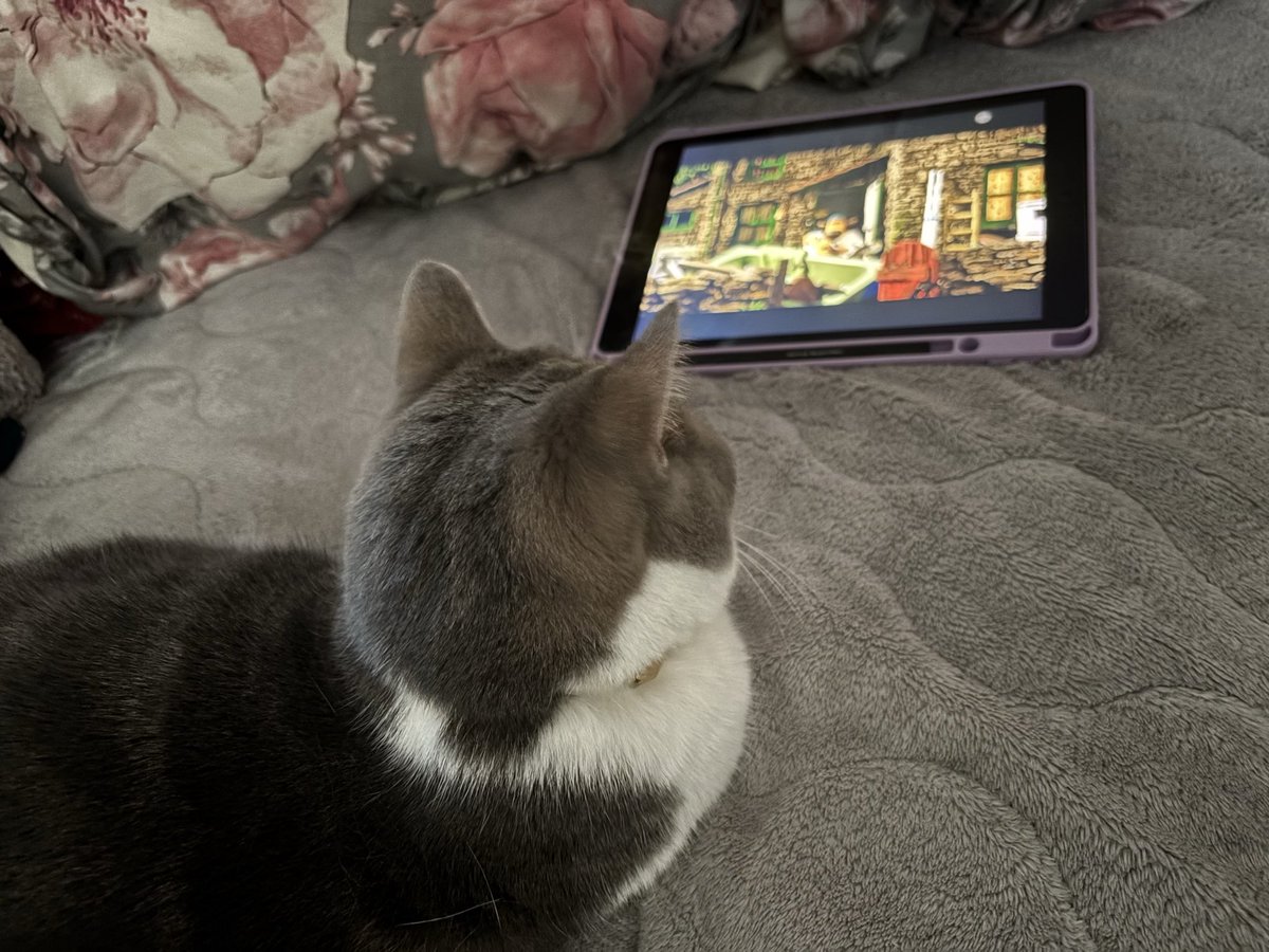 mimimitenten3's tweet photo. 🐱 https://t.co/wSRFUK3p7b