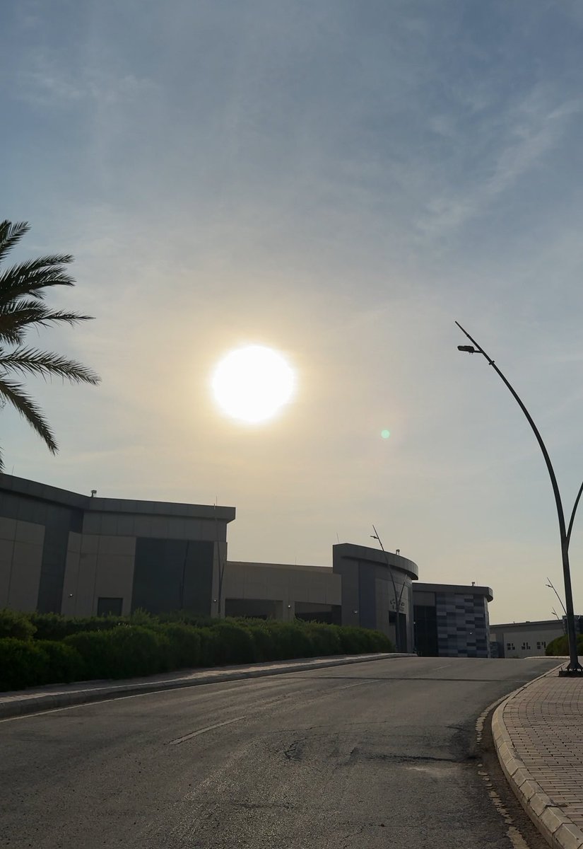 li9fli's tweet photo. صباحيات النادي الأفضل ☀️🌴 https://t.co/4cPffFbGQW