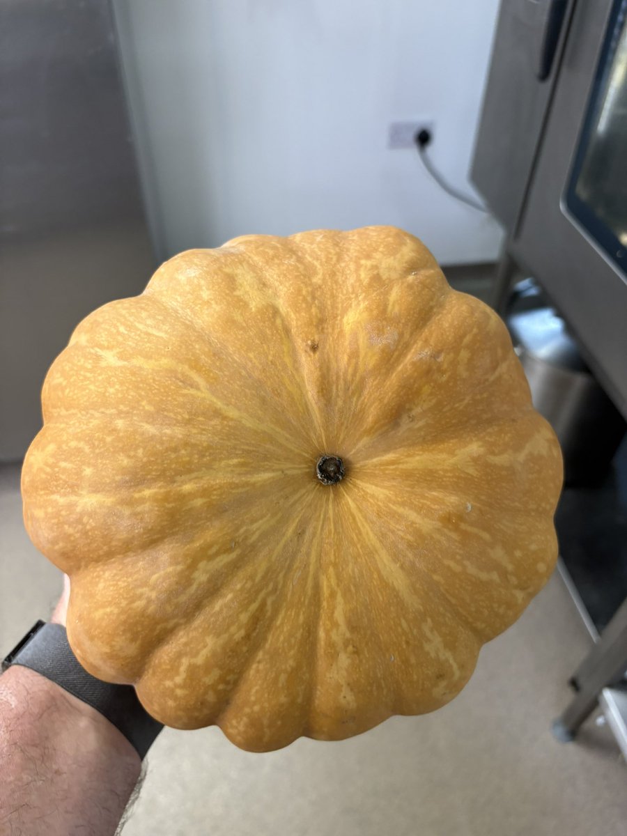 ChefsPass's tweet photo. Lovely pumpkins in the kitchen this week https://t.co/uJ6ba8jQID