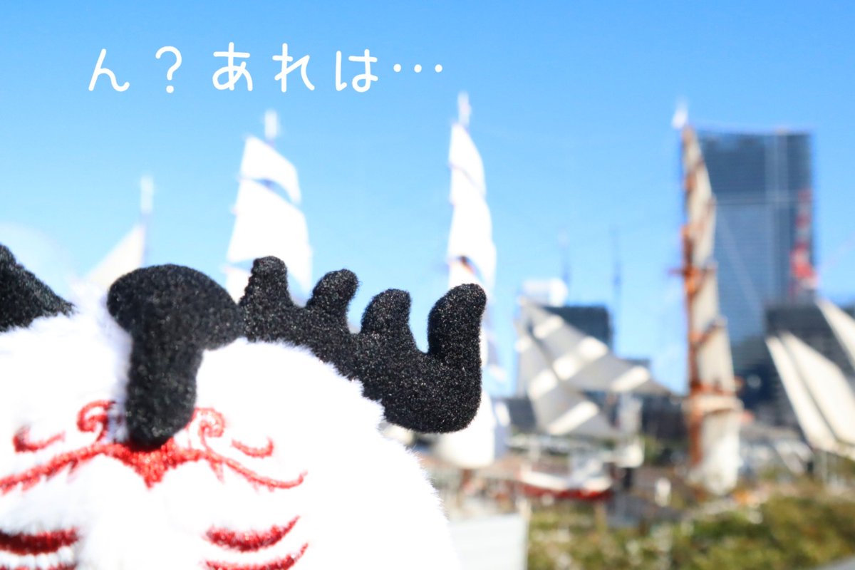 ohbasumi's tweet photo. たまにはカメラ修行！と超久しぶりに一眼レフ抱えて行ったんですがうーん難しい…使いこなせるのはいつの日になりますかねヌンノス様。日本丸が帆を張ってました。 https://t.co/APnNJYdl51