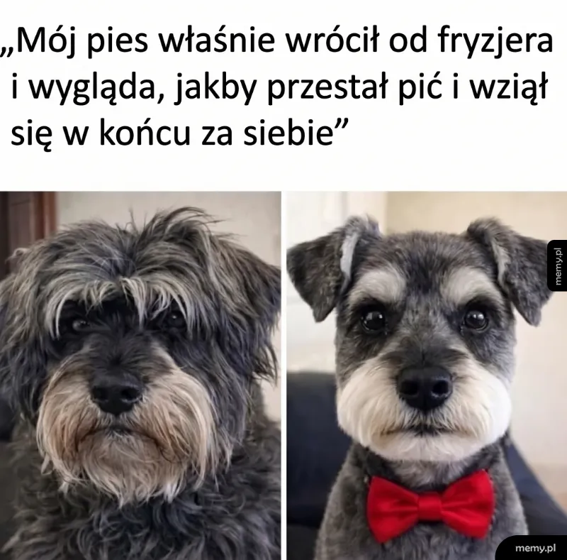 PolskiSejm's tweet photo. 🤣🤣🤣 https://t.co/2HhpnHllFT