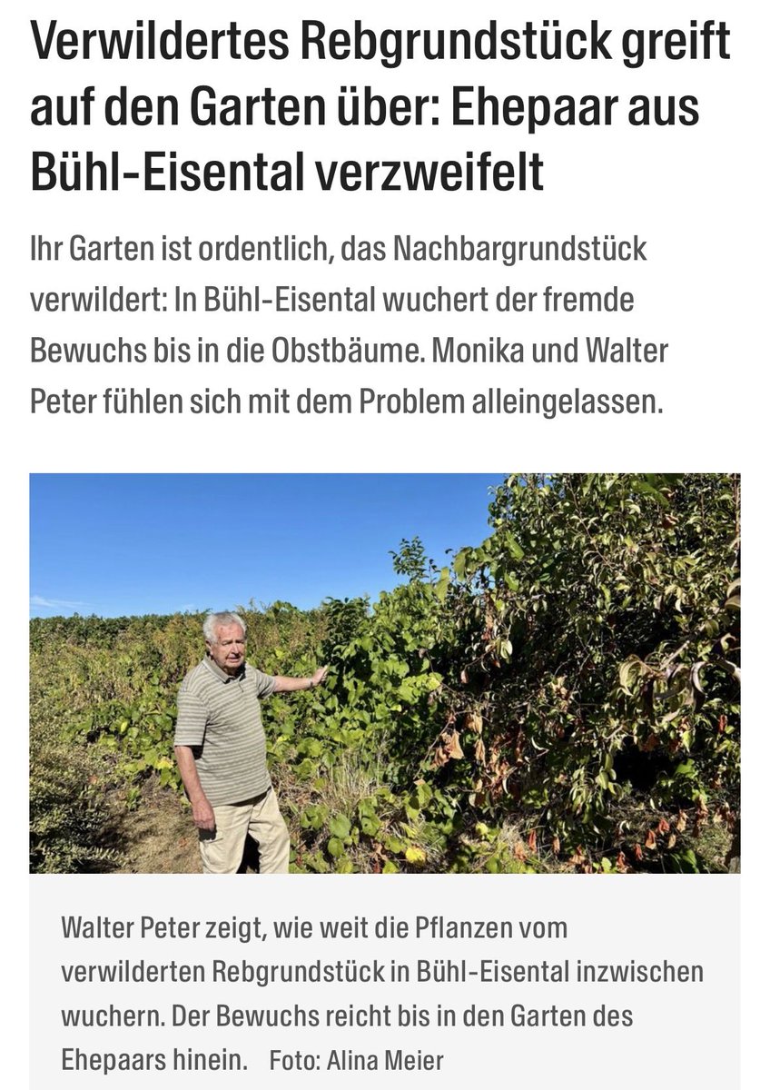 RentnerdaDz's tweet photo. Problem im Stadtbild. 
(Danke @ALEXfromBAD) https://t.co/EaGfCVlpnx