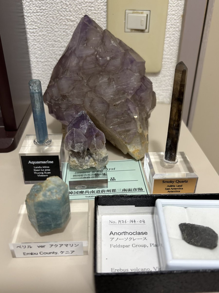 MapoMineral's tweet photo. 石ふしぎ大発見展の戦利品だぜー！目当てのものを無事入手できてすごく嬉しい。早めに並んだ甲斐があった。此度の京都ショーも良いものを色々収穫できてようござんした。 https://t.co/BQcPc5P6FL