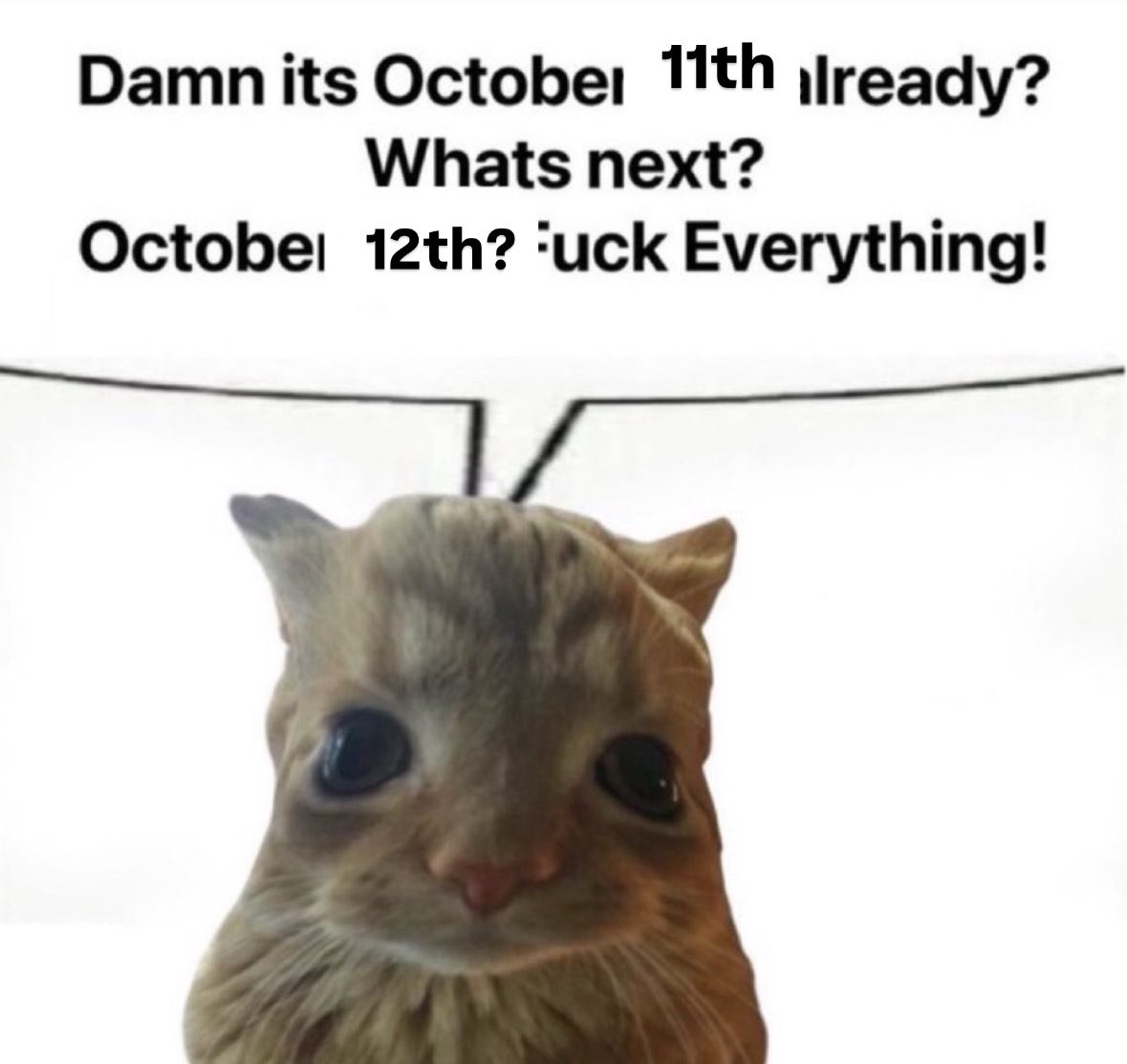 literallymecats's tweet photo. https://t.co/A2nztOQuF0