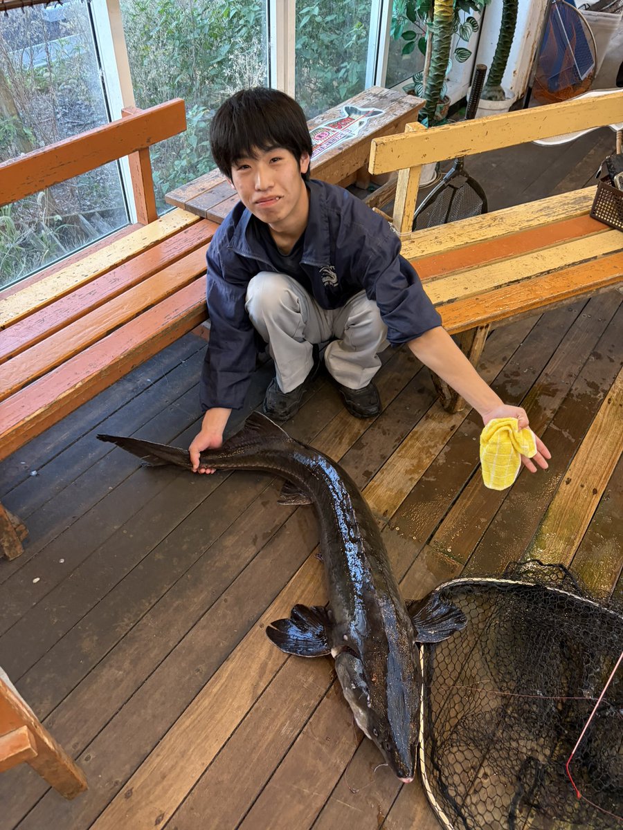 amipanatori's tweet photo. 150センチチョウザメ🦈🦈🦈
めちゃくちゃ引いてます👍 https://t.co/z18LnOZKNW