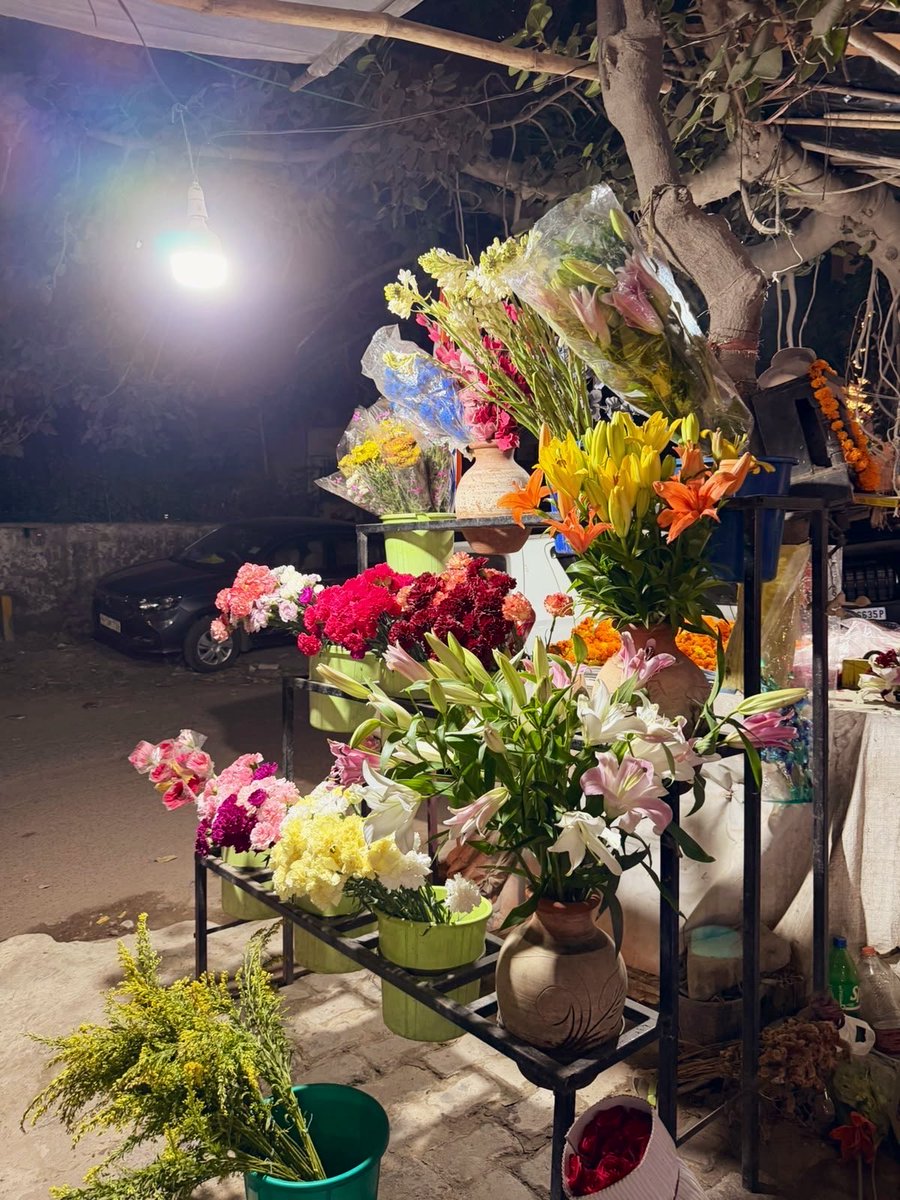 himanigupta000's tweet photo. Tomorrow is my boss’s birthday. which flower should i gift him ? https://t.co/eUuo4ktUsS