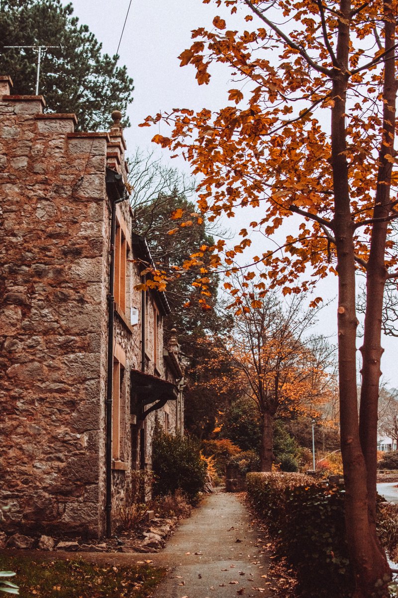 HogwartsReunion's tweet photo. Dzień dobry 🍂🍁🍃

W ten piękny, niedzielny, jesienny poranek zapraszamy Was na krótki spacer po Hogsmeade. To miasteczko już dawno przestało przypominać tę nudną wioskę, którą znacie jeszcze z czasów Waszej nauki. 

Co się zmieniło? Zobaczcie... https://t.co/i4odq1QHcC