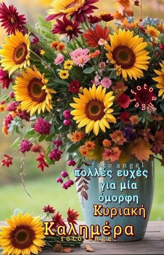 tzela463084's tweet photo. @aigiotissa Καλημέρα Ντοριτα μου χαρούμενη να είναι η Κυριακή σου 🌹😍😘 https://t.co/h4fagqwpJc