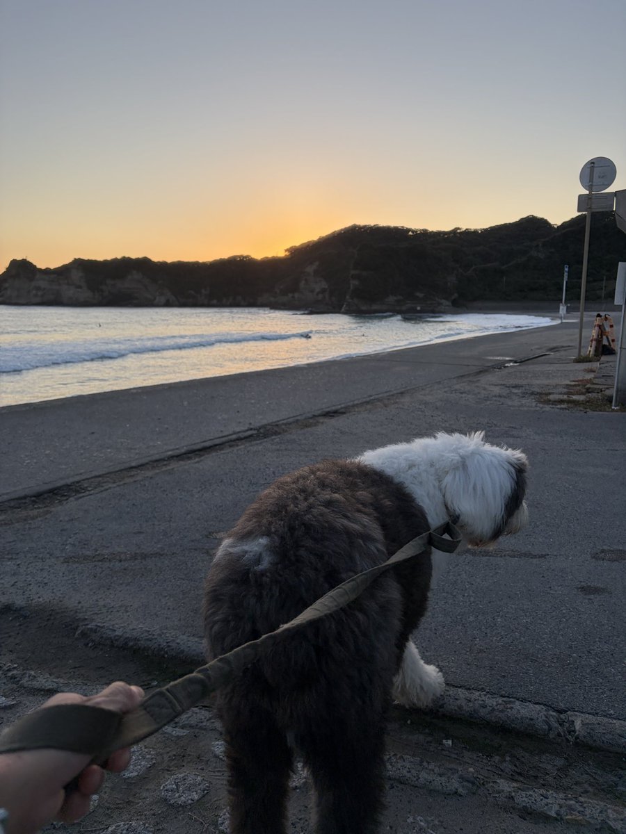 kati90969173's tweet photo. 日没タイミングをバッチリ計算したはずが
地形上、太陽は隠れた後でしたw
でも綺麗です
#夕陽 
#勝浦 
#犬と二拠点生活 
#大型犬 https://t.co/BeGQIZqrs4