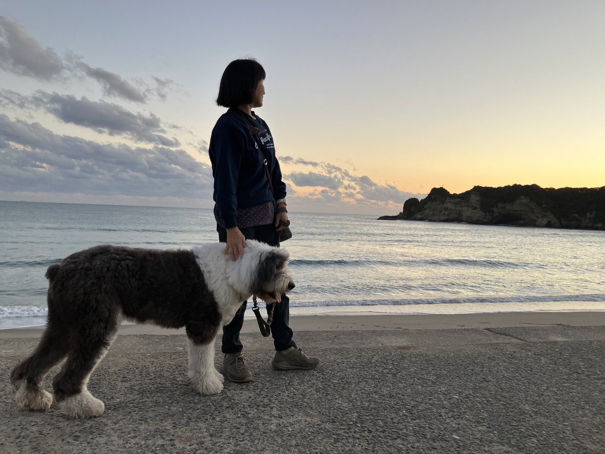 kati90969173's tweet photo. 日没タイミングをバッチリ計算したはずが
地形上、太陽は隠れた後でしたw
でも綺麗です
#夕陽 
#勝浦 
#犬と二拠点生活 
#大型犬 https://t.co/BeGQIZqrs4