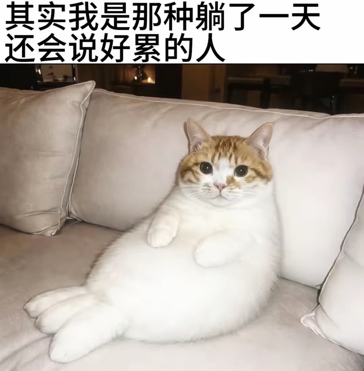 Stitch960718's tweet photo. https://t.co/oWEAi9g9gN