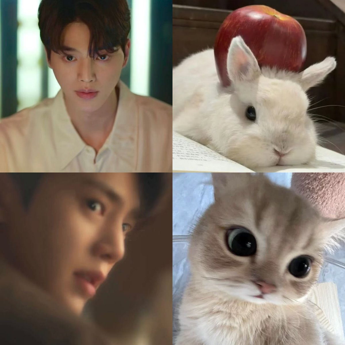 lunezub's tweet photo. my pinterest recommended 😭🤏 https://t.co/JCxKp8BJ1N
