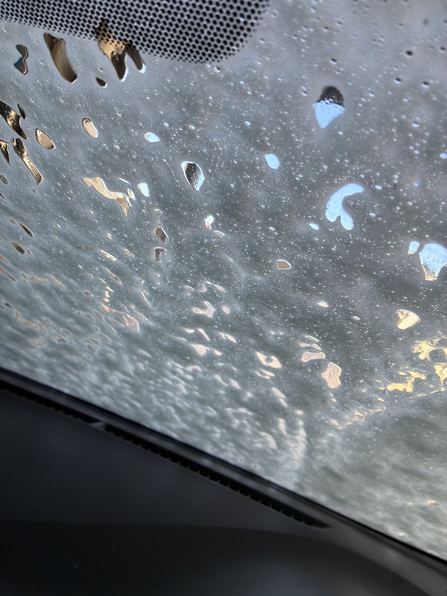 1sumikuma's tweet photo. あわわわわわわわ🫧🚗🫧 https://t.co/qUzVcGn1MM