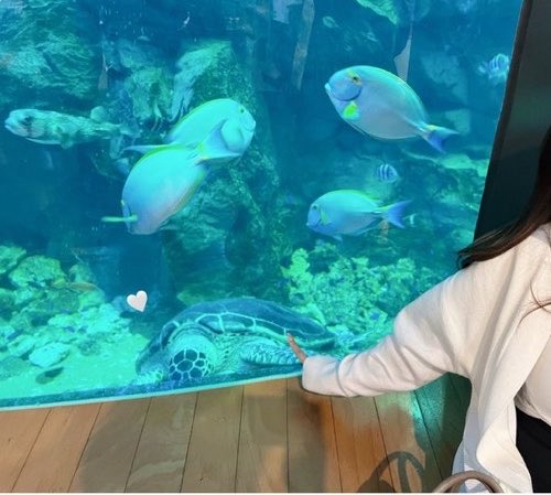 TTSMHKR10's tweet photo. 久しぶりの水族館🐠🐢𓈒 𓂂𓏸 https://t.co/0RvxoCNWlm