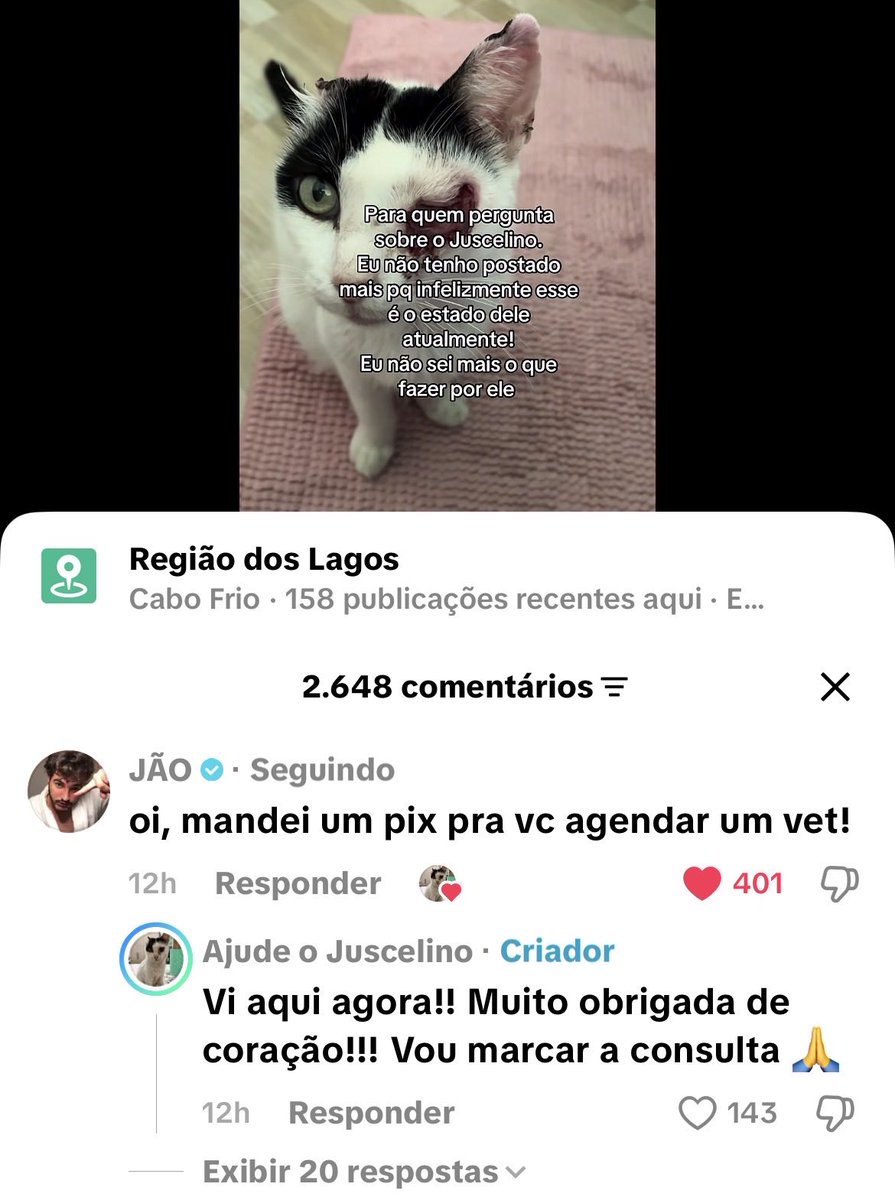 beijotaoforte's tweet photo. Jão, VOCÊ É MUITO ESPECIAL! https://t.co/mYVoAjn3IF