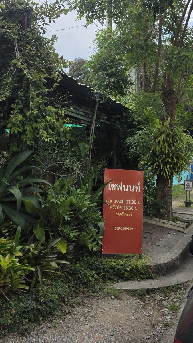 geegissss's tweet photo. กรุงเทพมีไข่เจียวปูเจ๊ไฝ ส่วนประเทศเชียงใหม่มีไข่เจียวปู 180 บาท เชฟนนท์ 🥰

ร้านนี้อยากแนะนำทุกคนมากๆ จะบอกว่าเป็นข้าวผัดปูที่อร่อยที่สุดละ ผัดแห้งๆ อร่อยหอมกระทะมาก ละปูคือได้แน่นๆ 😋

อีกเมนูที่สั่งวันนี้คือทะเลคั่วพริกเกลือ กรอบอร่อยมาก มา 4 คน สั่ง 4 อย่างคืออิ่มมากแต่ละเมนูคือได้เยอะจริง ค่อยๆสั่งกันนะ 😆

ใครแวะมาแถวนี้แนะนำเลย มา #กินตามชูก้า กัน

#รีวิวเชียงใหม่