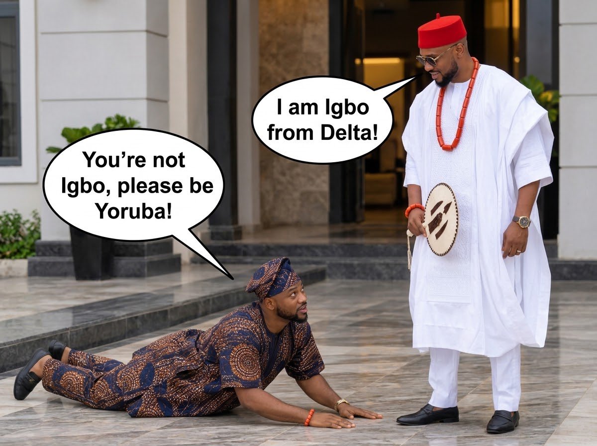 Voiceofigbos's tweet photo. What all the Yoruba Ronus are doing for a living 😂😂😂 https://t.co/9C5cejQzn0