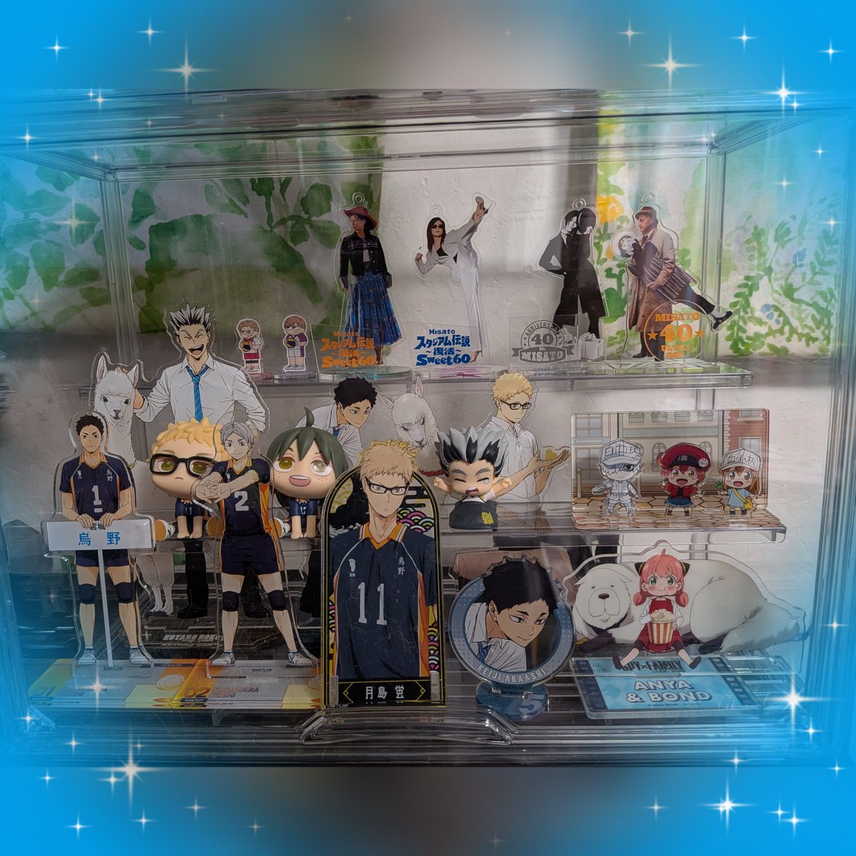 canon3310's tweet photo. アクスタ増えまくりなのでケース買ってみた。
ほぼハイキュー!!なアクスタ(笑)
しかも主人公の日向、影山がいないっていうwww
ちなみに入り切らず他にも飾ってますw
美里さんは最上段に♡ https://t.co/iTv7PJY2P2