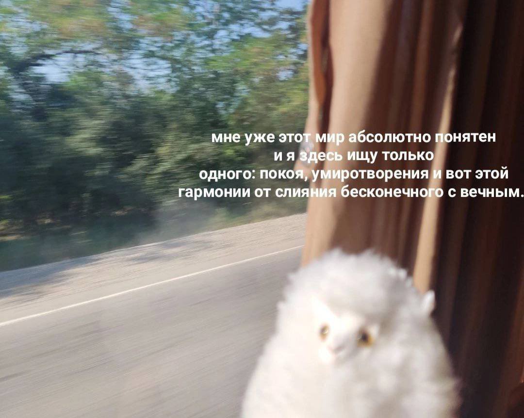 MDio67_'s tweet photo. @raintwd9 Ну и треш… ну я https://t.co/fzsGoaLyyq