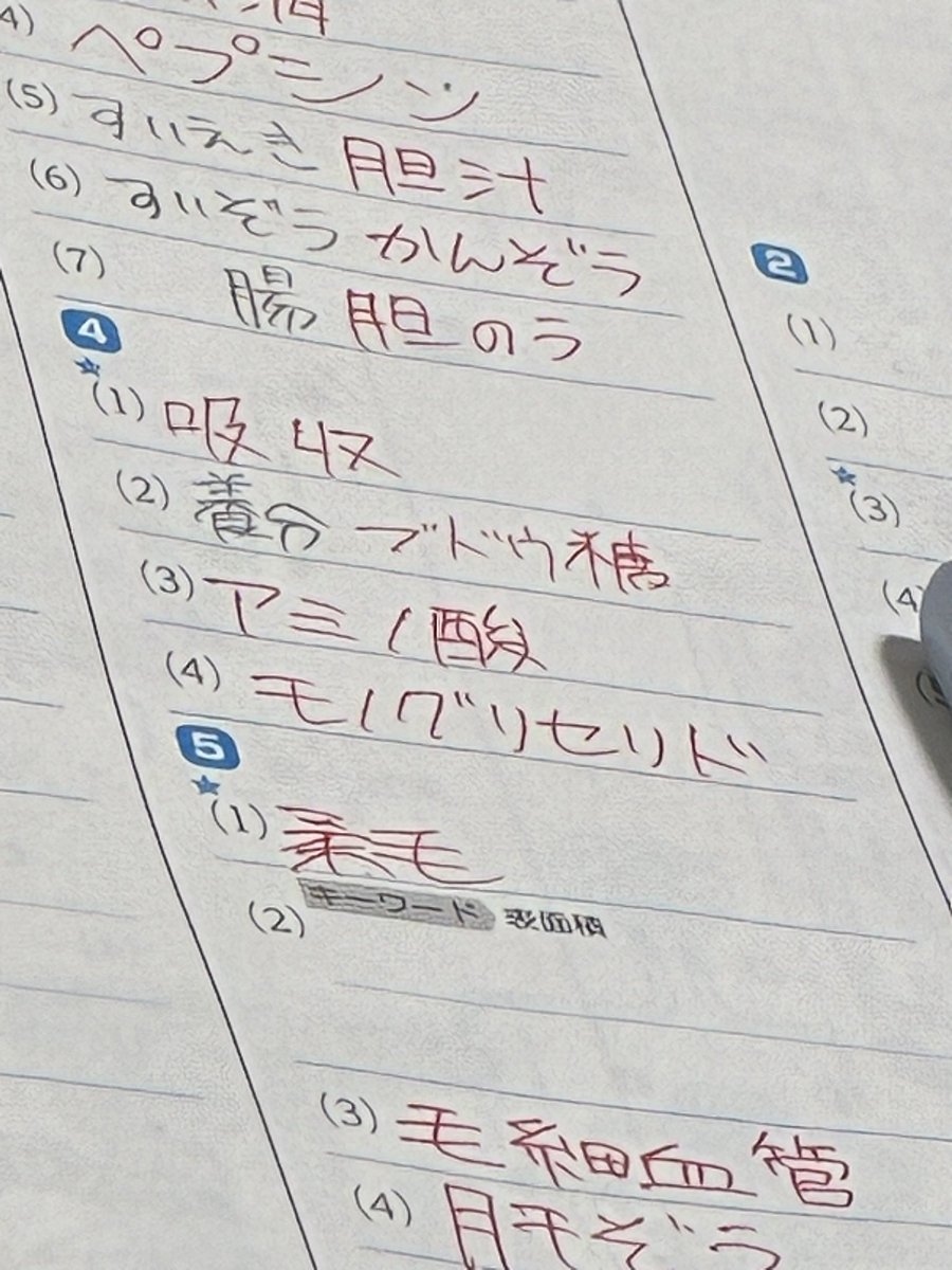 amazon543543's tweet photo. さすがに勉強できないにも程がある https://t.co/TdaDyxXF1B