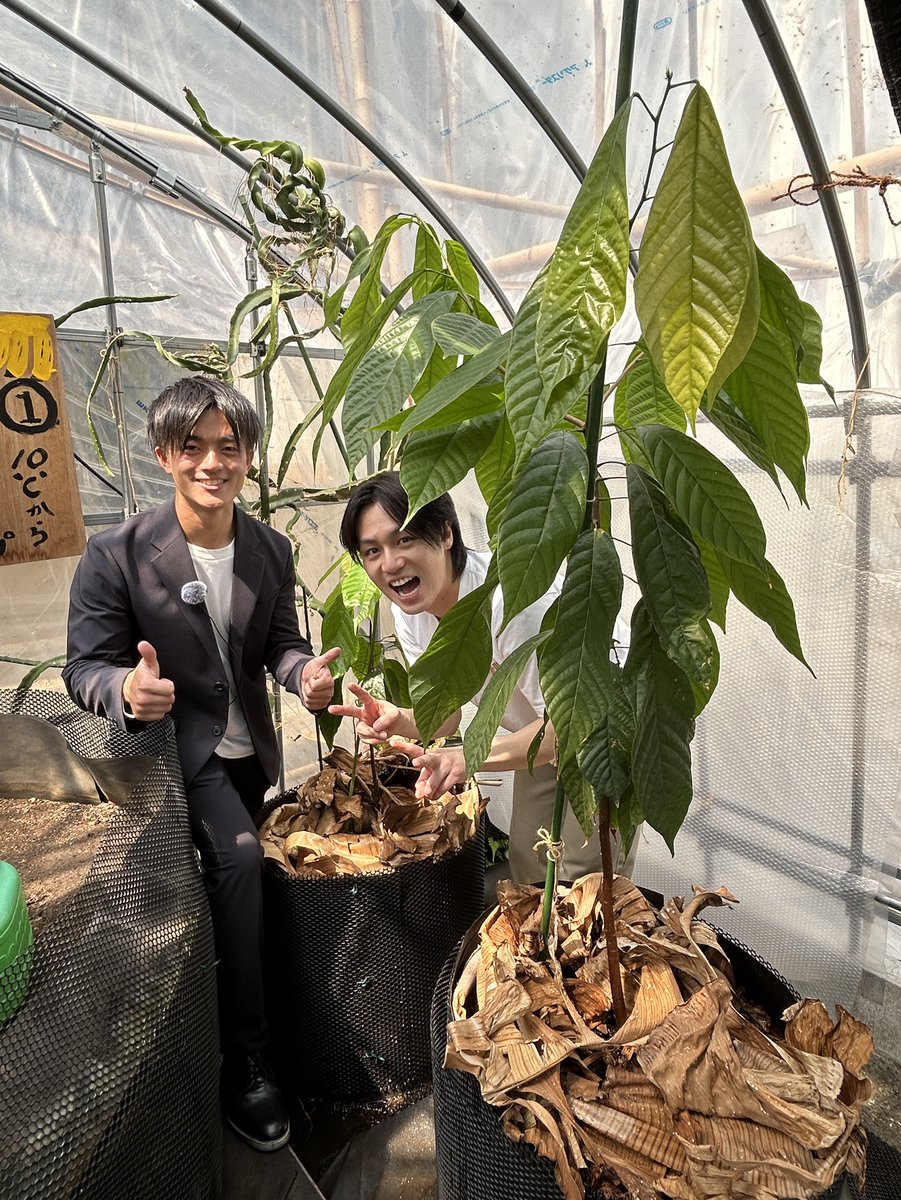 tetsuwan_DASH's tweet photo. ＼#鉄腕DASH TVer hulu 配信中！／

⋱DASHオフショット📸⋰

東京仕様でオシャレにキメた
Mr.カカオとパシャリ✌️

〖 新宿DASH🍫 〗
#松田元太(Travis Japan) https://t.co/S9lcPGYdsq