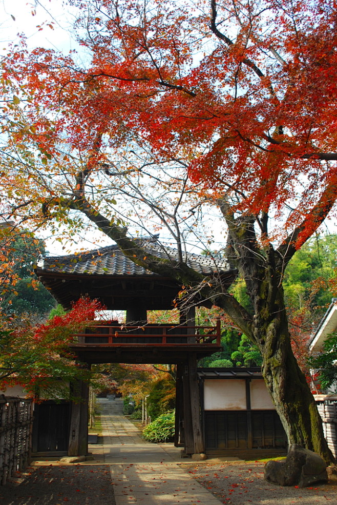Stick1_9Y0c's tweet photo. 【门と山のふもとのカフェ】古い門をくぐると、山のふもとに佇む小さな店。窓辺のカップには、古の記憶が約束のように滲んで——新しい発見が待ってる、今日のお茶時間 https://t.co/EPjjplvp40