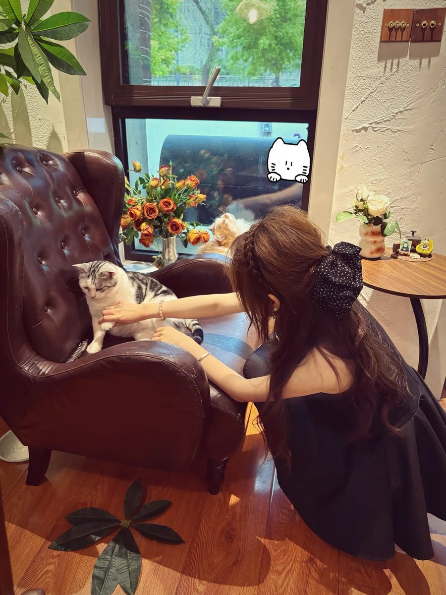 F023Y's tweet photo. 咋说呢，这玩意开弓没有回头箭，无论是想干啥，都一定要慎重慎重在慎重，不要为了一时的欲望，毁掉安稳的生活 https://t.co/AcBBUEKjkr