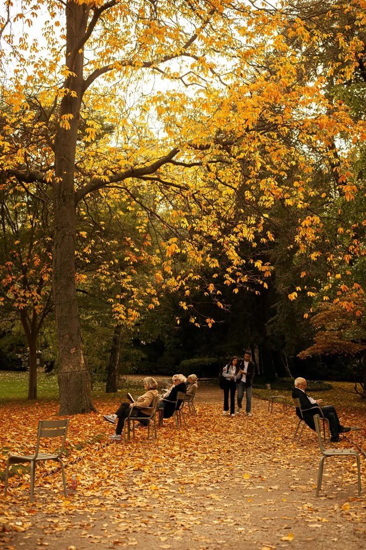 naturebeauty760's tweet photo. Fall in Paris, France 🇫🇷🍂 https://t.co/d0KP7pbTzu