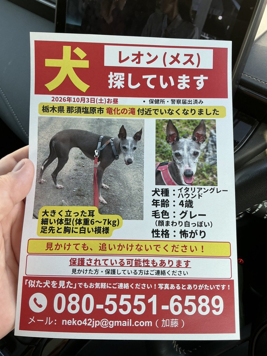 tanasika43's tweet photo. 怖がりです。
見かけても追いかけたり捕まえようとせず、
場所・時間・進行方向などをDMでお知らせください。

写真・動画が撮れる状況でしたら、
無理のない範囲でお願いいたします。 https://t.co/KGwEnywrIH