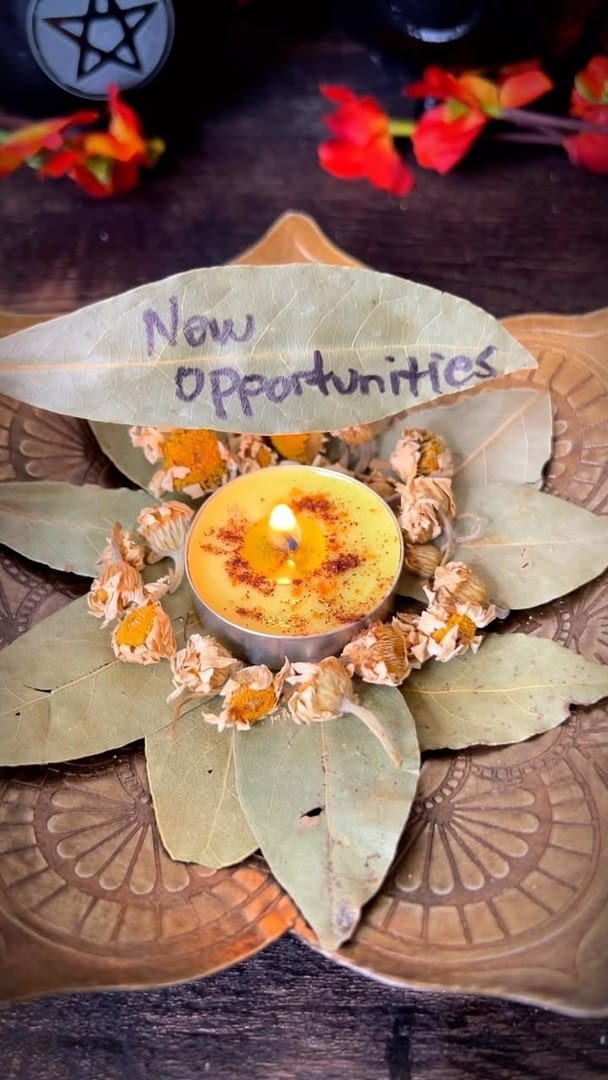 AriDivineRoots's tweet photo. 💰 Debt Relief &amp; Financial Stability Spell 💰
Yellow candle for new opportunities, dressed with cinnamon &amp; surrounded by bay leaves
Working to clear debt, open doors &amp; bring steady abundance
Custom money &amp; stability spells available now
DM to book yours ✨ https://t.co/Yquv89dy0N