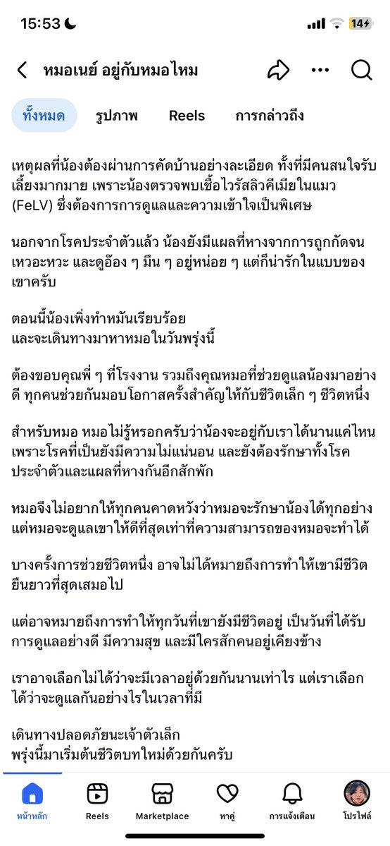 mewmi35's tweet photo. 📍อัปเดตจากหมอเนย์ น้องเดินทางไปอยู่บ้านใหม่กับหมอเนย์พรุ่งนี้นะคะ☺️

//น้องน่ารักมาก ต่อจากนี้ขอให้บ้านหลังนี้เป็นหลังสุดท้าย และขอให้กินอิ่มนอนหลับแบบสบายใจทุกวัน ต่อไปนี้ไม่ต้องโดนใครไล่ตีแล้วนะเจ้าดาวน์น้อย #แมว https://t.co/sOiEBwtN1h