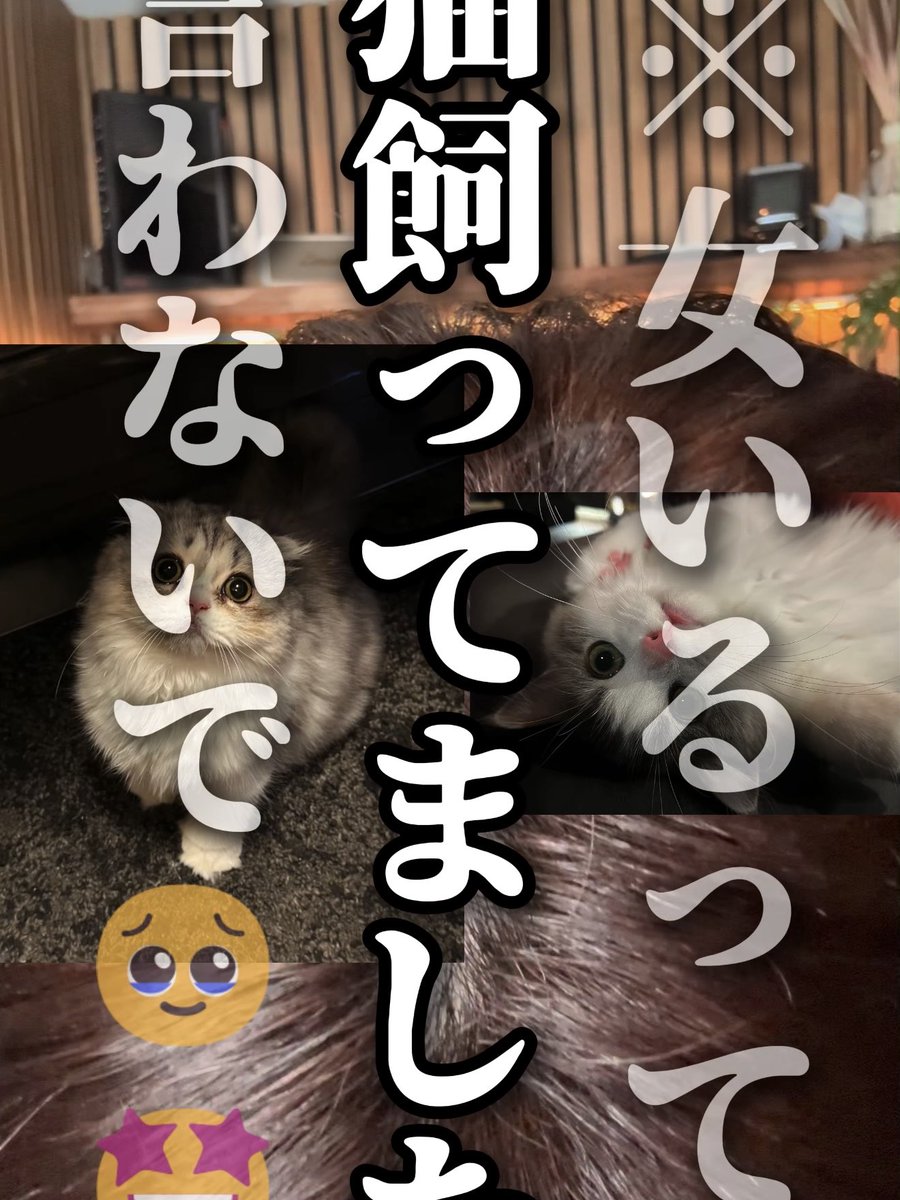 _Liura_of's tweet photo. 【報告】隠していてごめんなさい #歌い手

🐤TikTok
https://t.co/KKa6ptWsBL

🐤Shorts
https://t.co/oXhRCJ68aA https://t.co/yfzUDoaIp9
