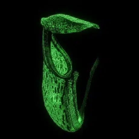 c0de11X's tweet photo. THIS GUY CREATED ANTI AI TEK

Nepenthes generates an endless maze of fake web filled with meaningless text

When an AI crawler enters, it can keep following links deeper into the trap

AN ENDLESS FUCKING LABYRINTH OF NONSENSE

https://t.co/xleaUjoA3b https://t.co/OX7EgLaJld